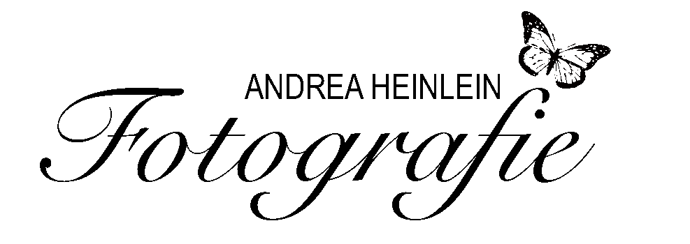 Logo-Schmetterling-Kopie Logo-Schmetterling-Kopie
